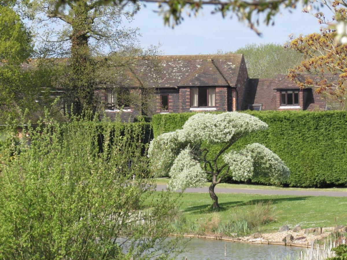 Northlands Farm - Old Farm Cottage Chichester Esterno foto